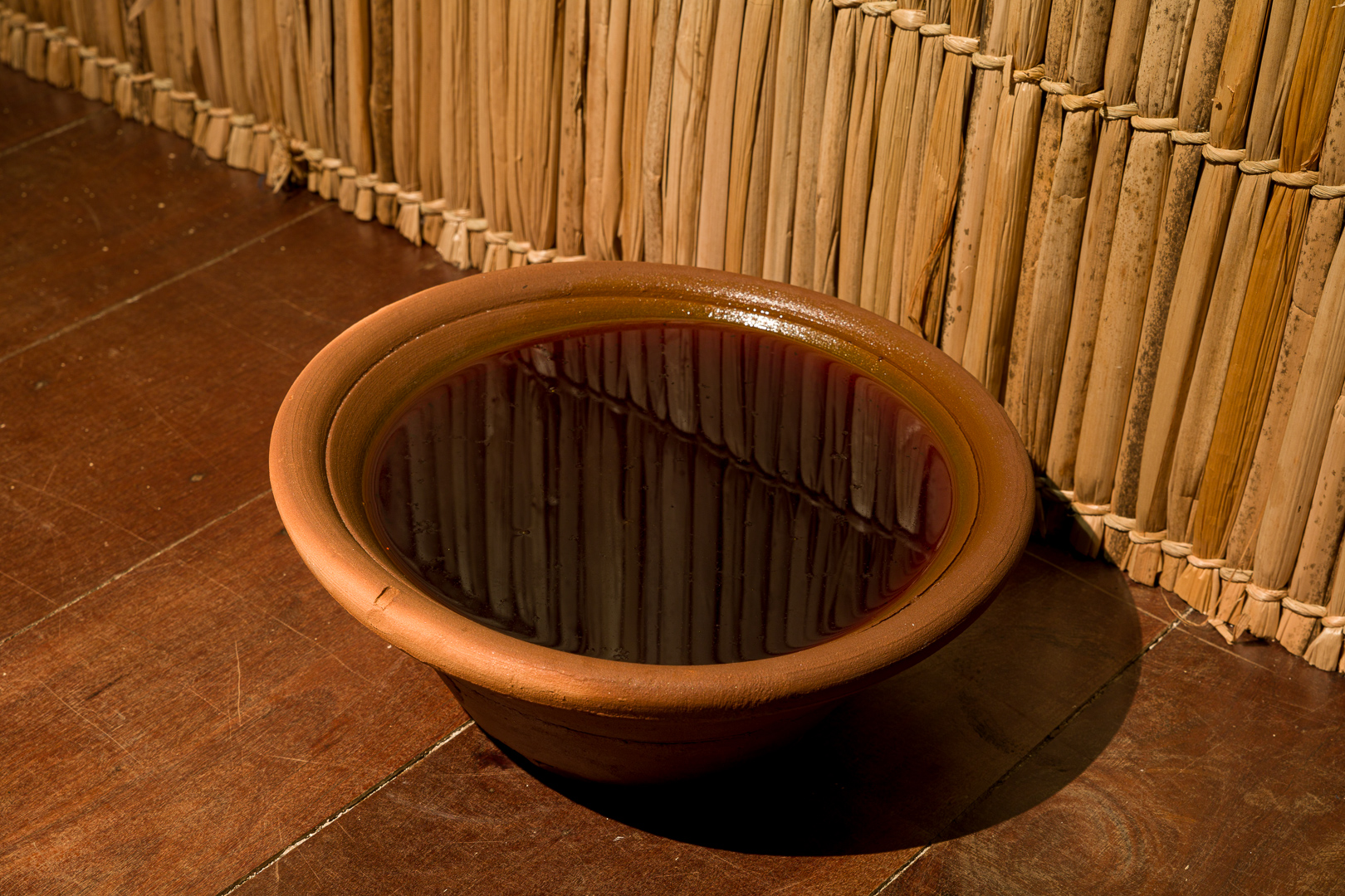PAI CIPRIANO _63A9434_baixa